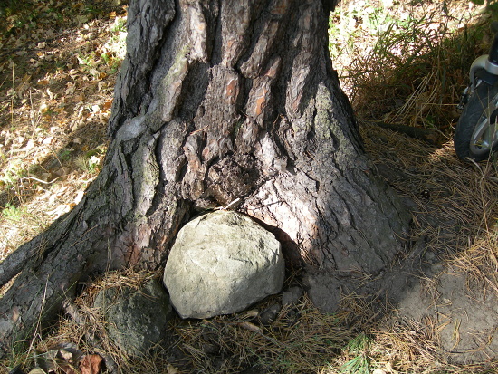Proč ten kámen leží takhle u stromu?